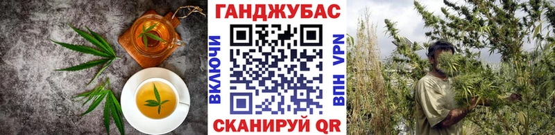 Cannafood марихуана  Венёв 