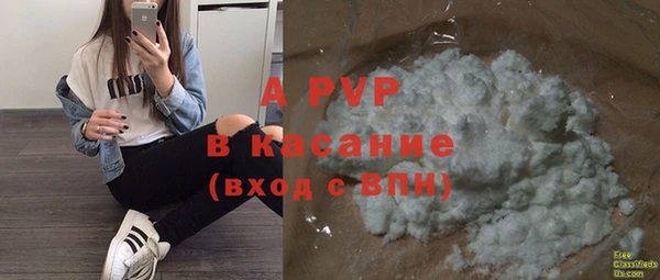 PSILOCYBIN Майский