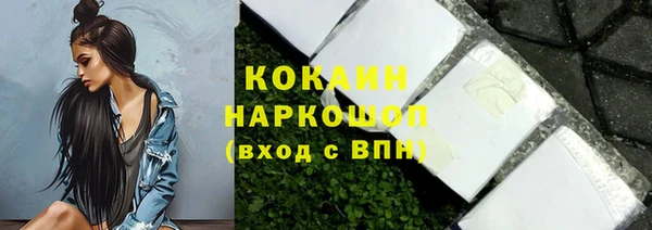 apvp Валдай