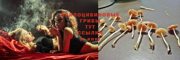 круглые Бородино